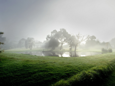туман, утро, озеро, природа
