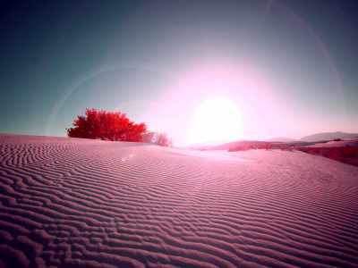 Солнце, Песок, Красная, Красивая, Пустыня