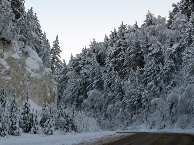 дорога, зима, деревья