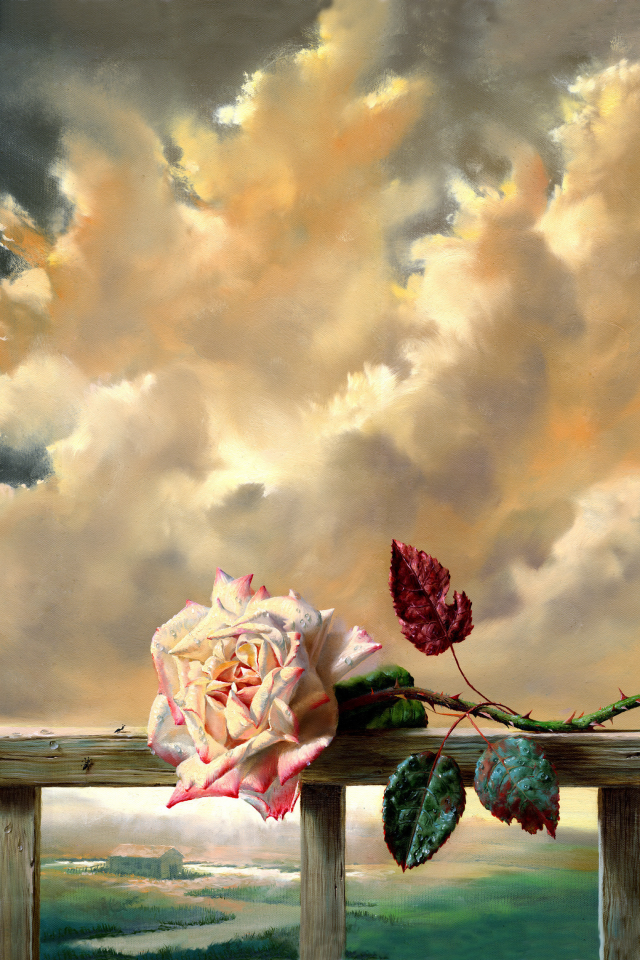 роза, облака, живопись, свежесть, цветок