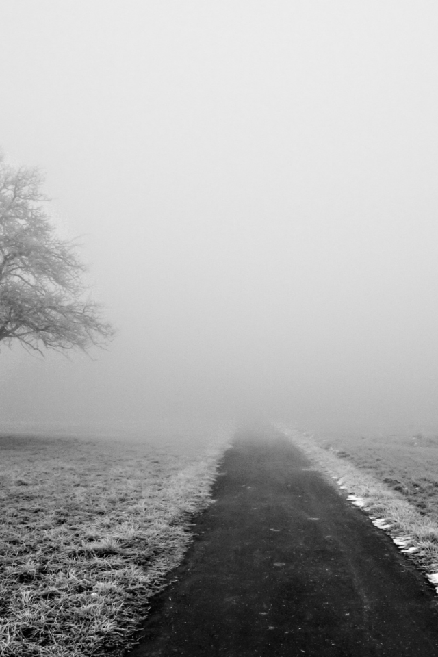 дорога, снег, деревья, зимние обои, природа, обои, туман, зима