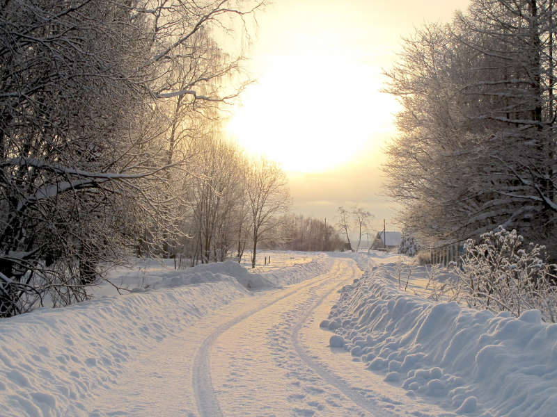 зима, фото, зимние обои, дома, дорога, домики, дерево, снег, пейзажи, природа, деревья, дороги, леса