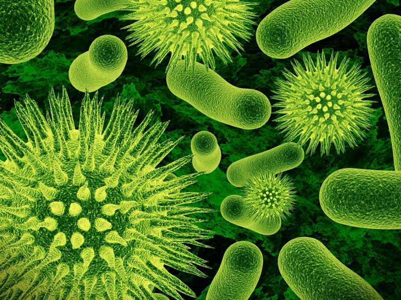 зелёный, вирус, бактерия