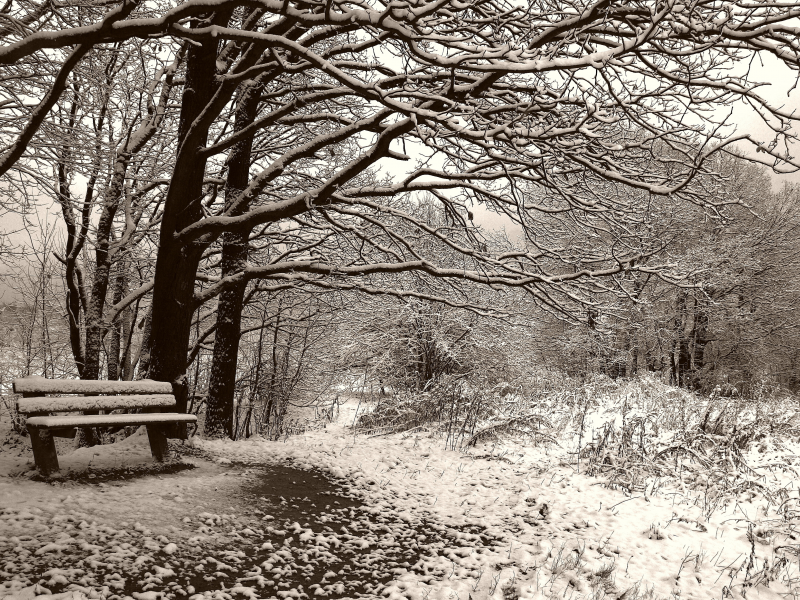 скамейка, зима, сепия