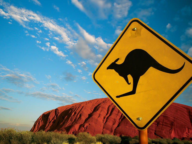 кенгуру, австралия, знак