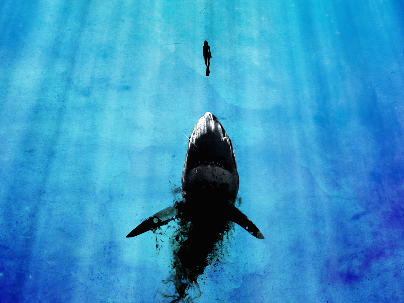 океан, опасность, синий, черный, человек, акула, вода