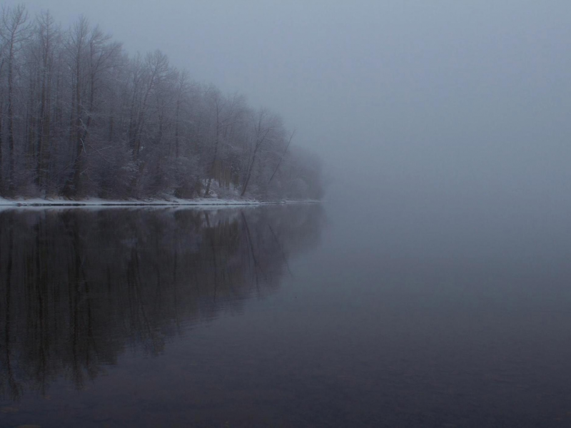 зима, деревья, вода, отражение