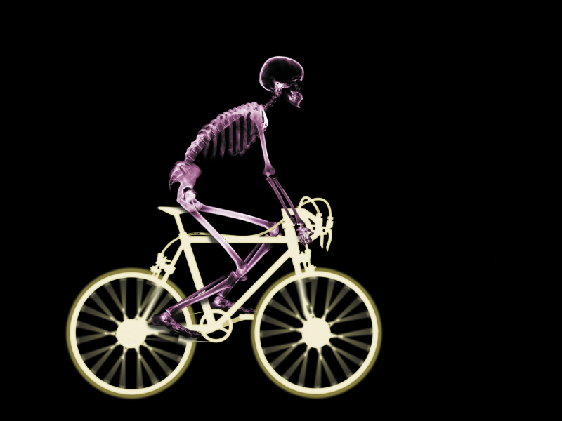рентген, велосипед, скелет