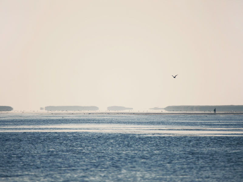 Красиво, Утро, Море, Morning, Sea