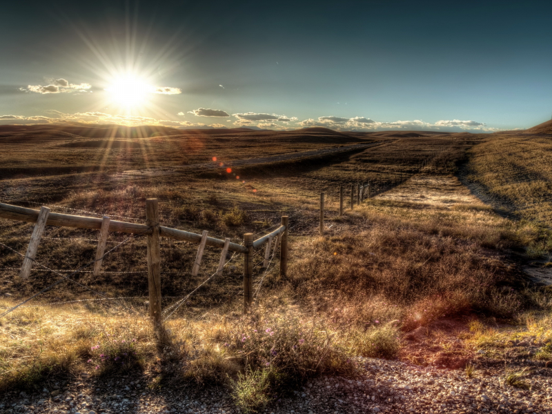 небо, пейзаж, поле, забор, HDR