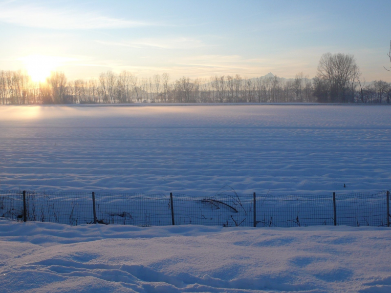 поле, зима, пейзаж