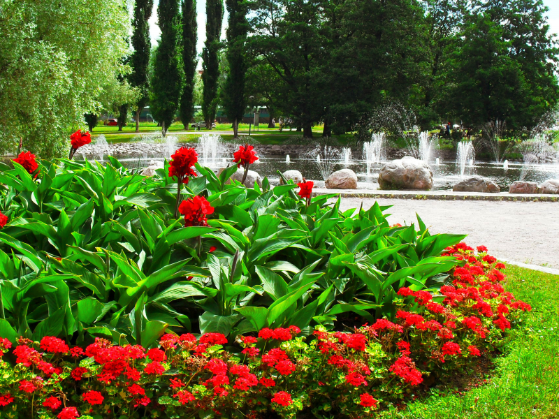 фонтан, парк, камни, клумба, деревья, цветы