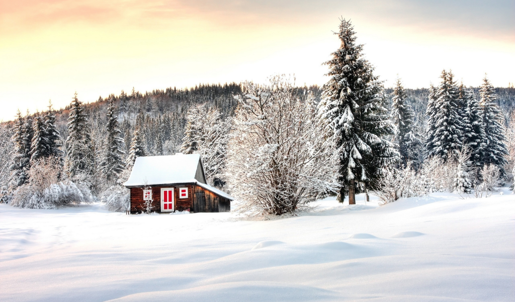 деревья, домик, зима, лес, снег