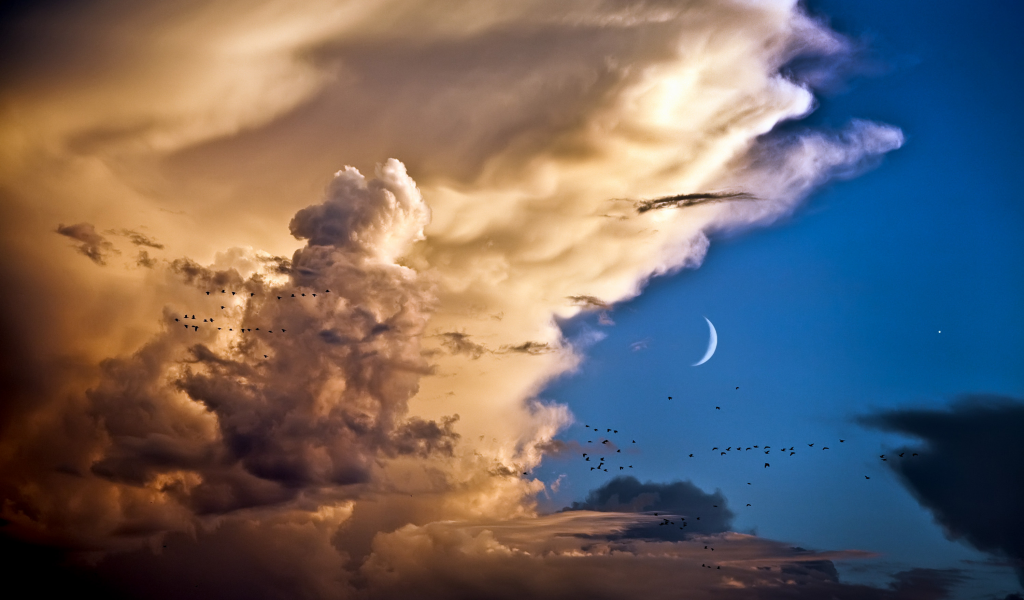 небо, месяц, птицы, облака