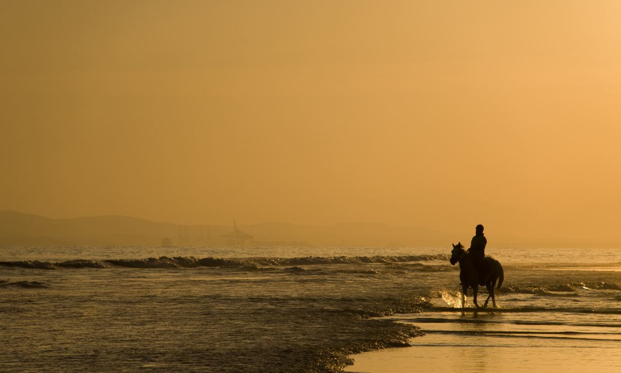 пейзажи, прогулка, кони, море, лошадь, люди, конь, песок, океан, человек, животные, вода, утро, прогулки, лошади, берег