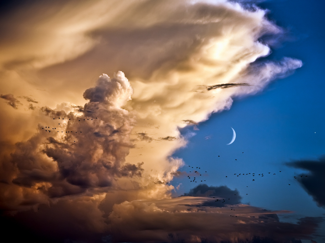 небо, месяц, птицы, облака