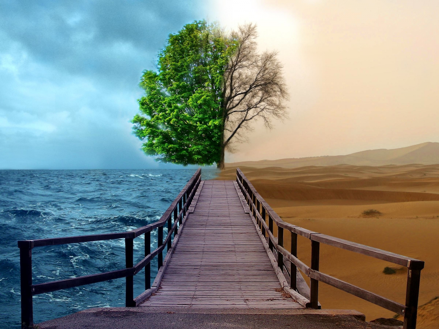 дерево, вода, пустыня, времена года, мост