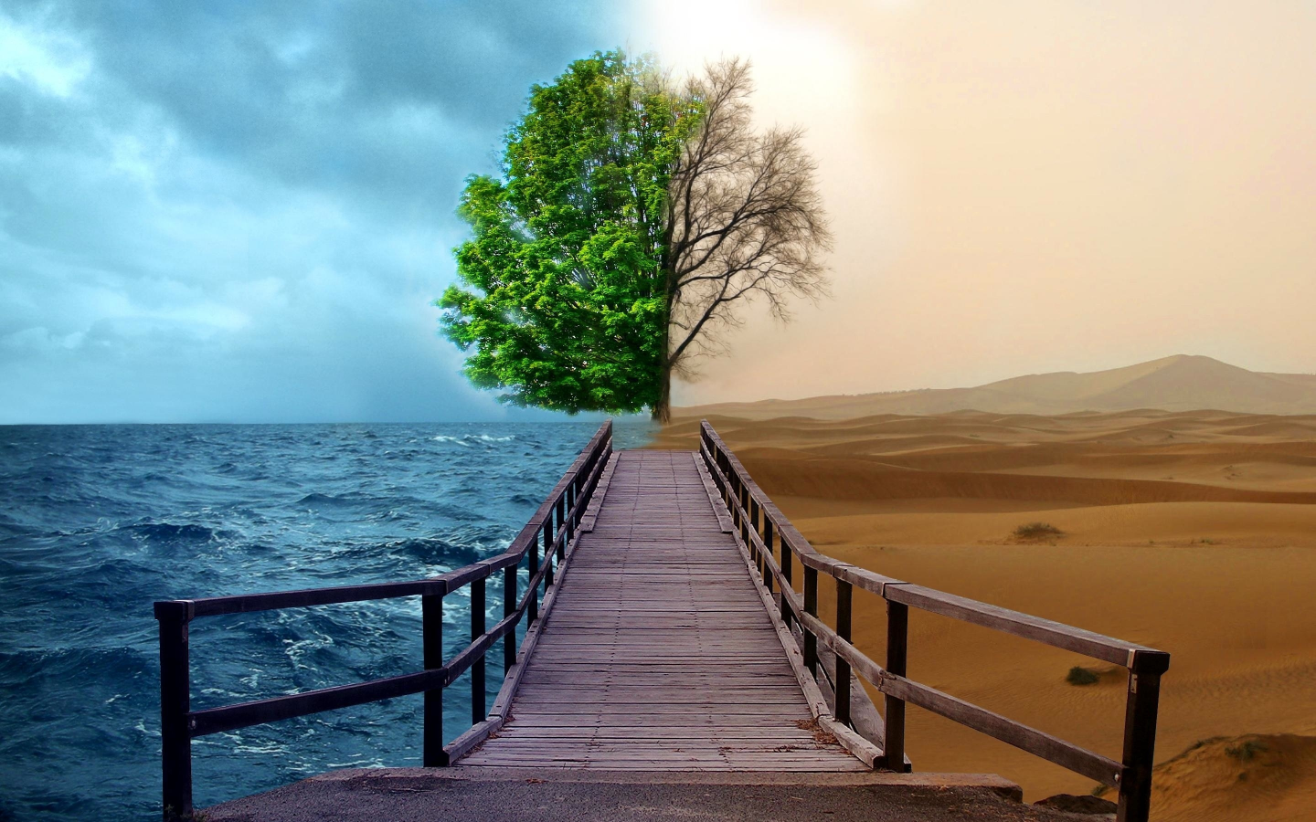 дерево, вода, пустыня, времена года, мост