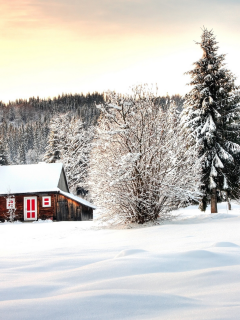 деревья, домик, зима, лес, снег