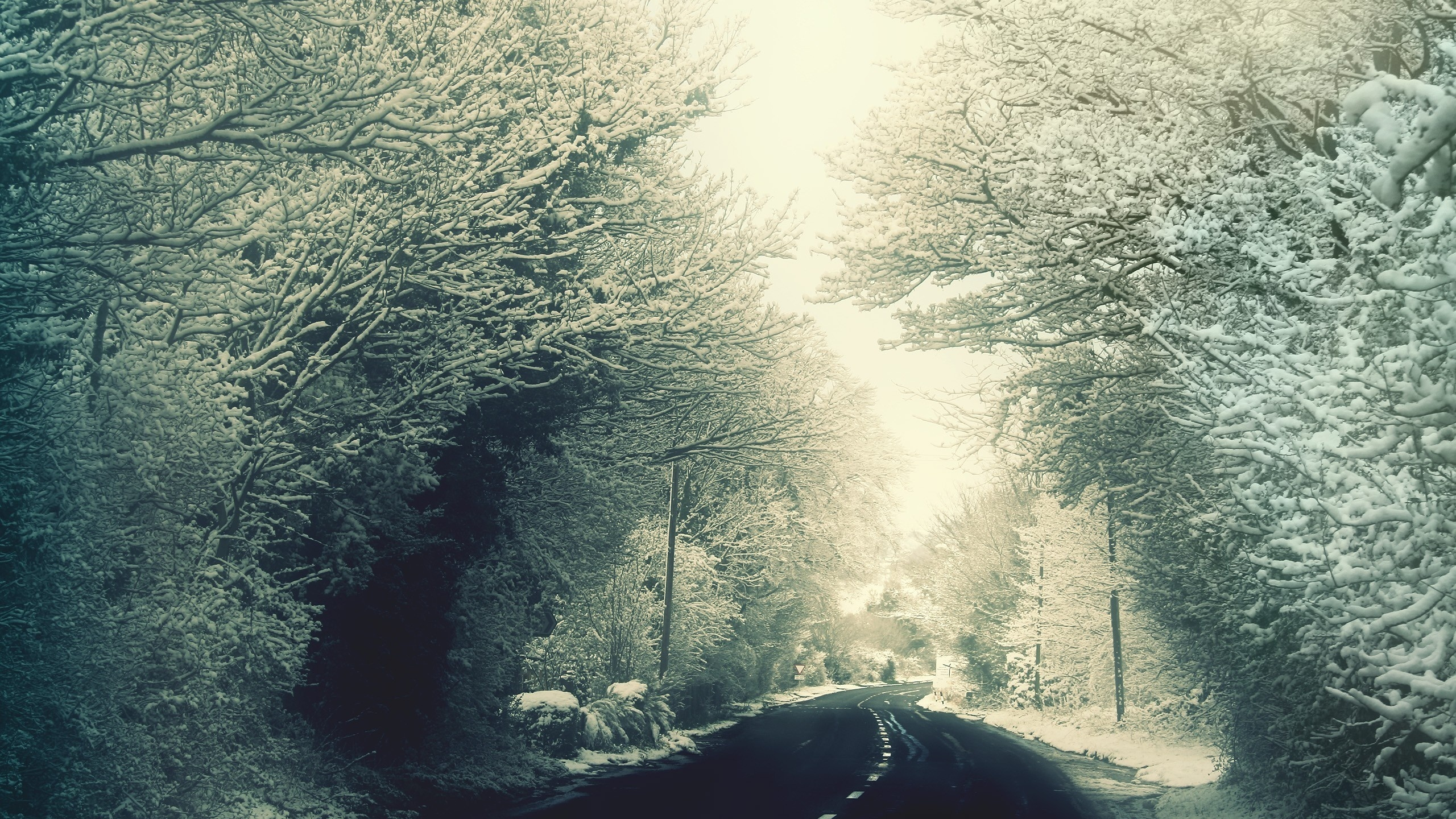 зима, деревья, дорога