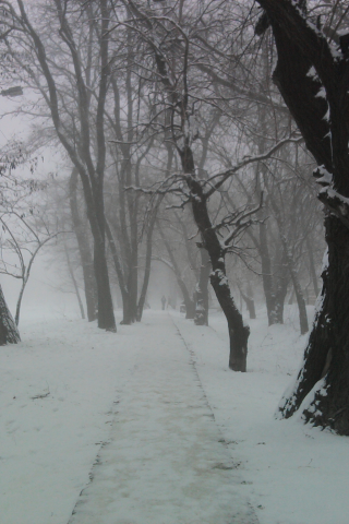 туман, зима, снег, дорожка