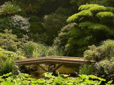 япония, мост, зелень, сад