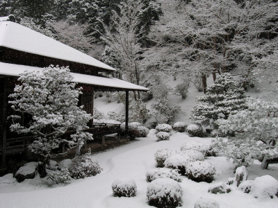 зима, япония, сад, дом