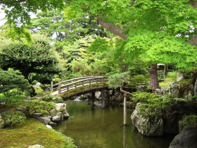 вода, мост, лето, японский сад, зелень, япония