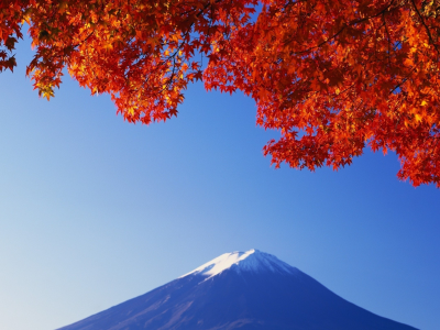 япония, гора, листва