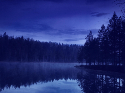 озеро, лес, ночь