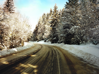 елки, зима, деревья, снег, дорога