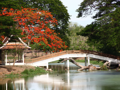 мост, тайланд, деревья, река