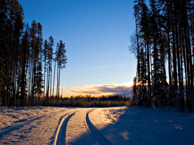 пейзажи, север, снег, лес, дерево, зимние обои, следы, дороги, дорога, свет, красивые обои для рабочего стола, зима, деревья, рассвет
