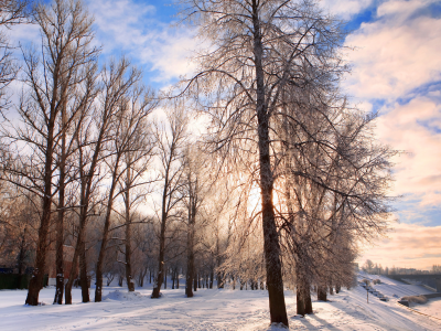 снег, парк, природа, зима, деревья