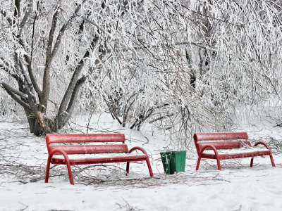 снег, зима, природа, зеленый, цвет, скамейки, парк, красный, иней, сугробы, белый, ветки, деревья