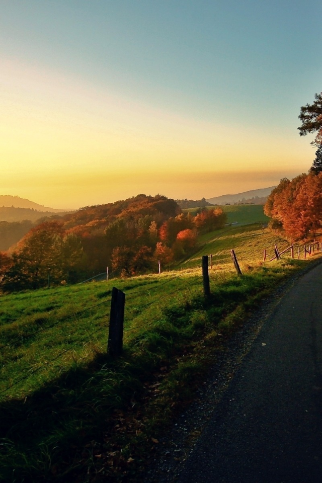 осень, местность, nature, листва, горизонт, природа, солнце, пейзаж, восход, небо, село, деревья, закат, autumn, дорога