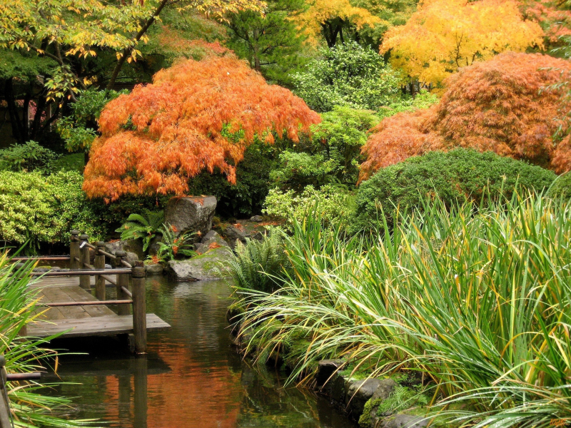 камни, деревья, японский сад, япония, вода, веранда