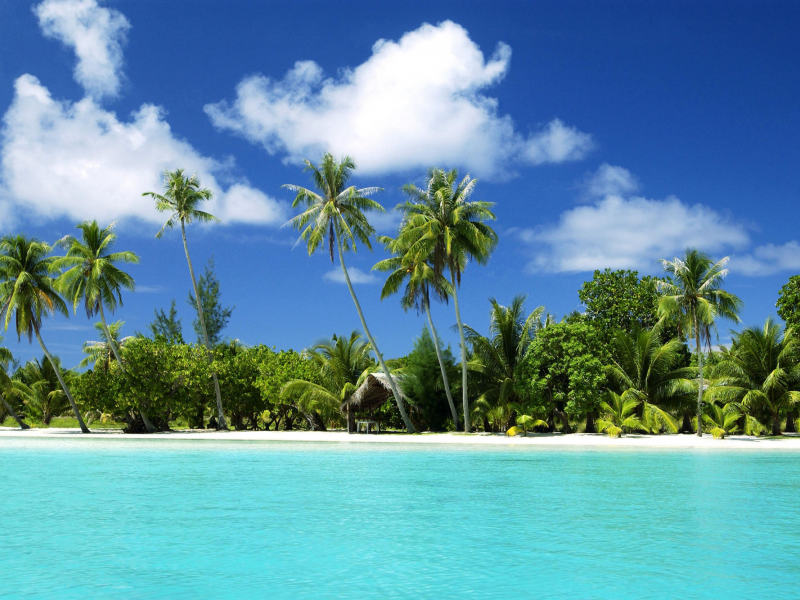 песок, пальмы, море, тропический остров, тропики, пляж