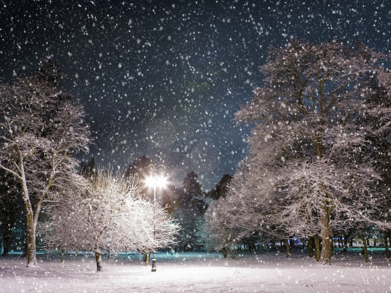 парк, ночь, фонарь, деревья, снег, зима
