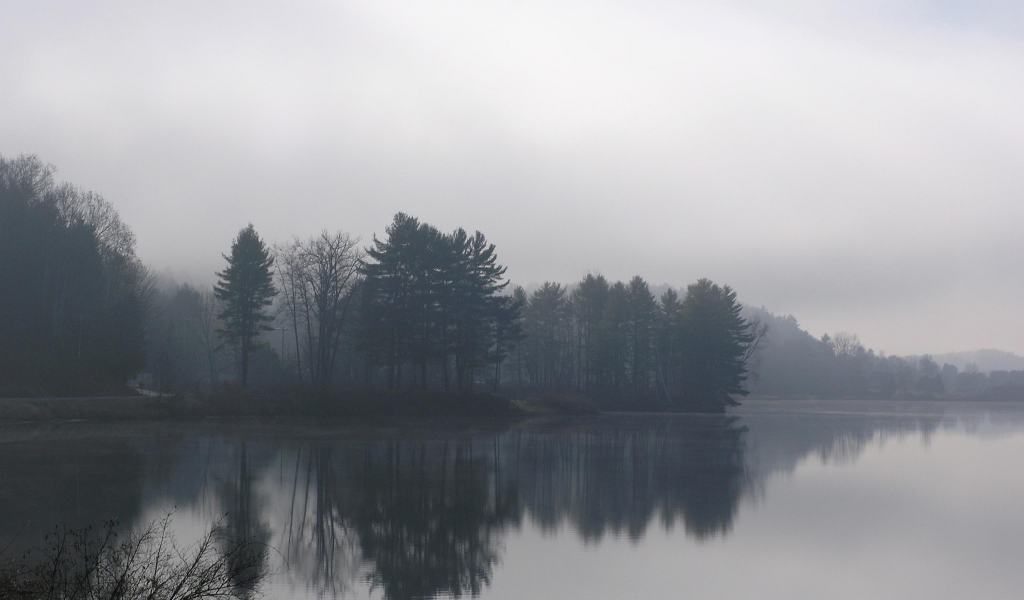туман, озеро, лес