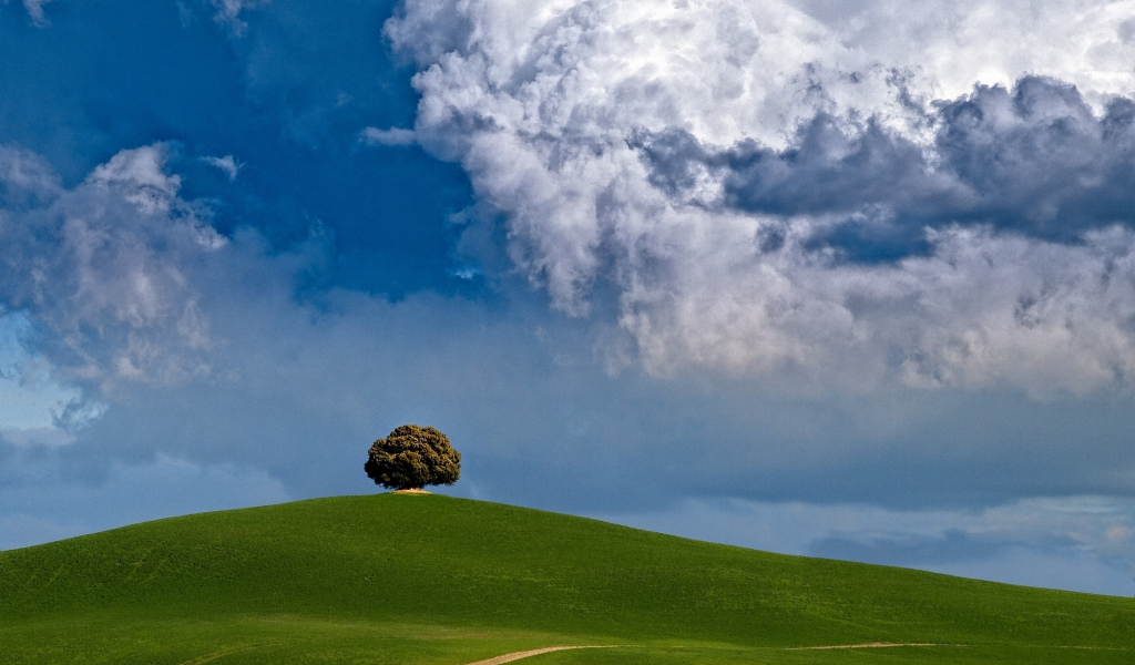облака, дерево, холм