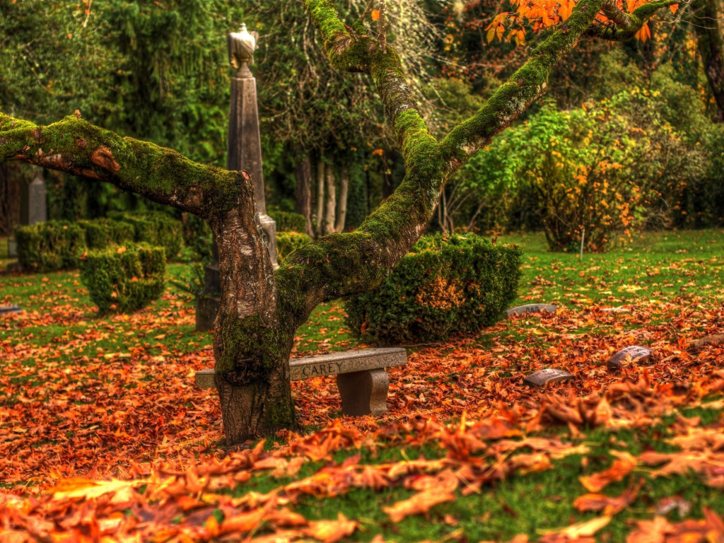 осень, памятники, кладбище, листья, дерево