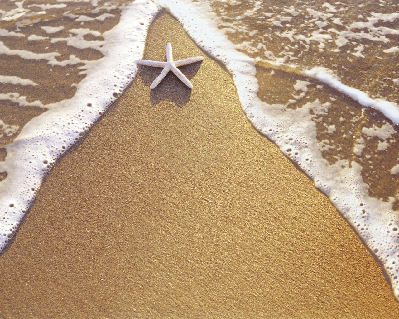 берег, песок, вода, звезда