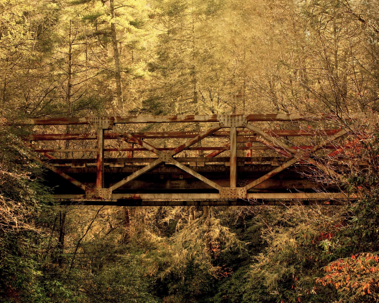 лес, южная каролина, мост, осень, листья