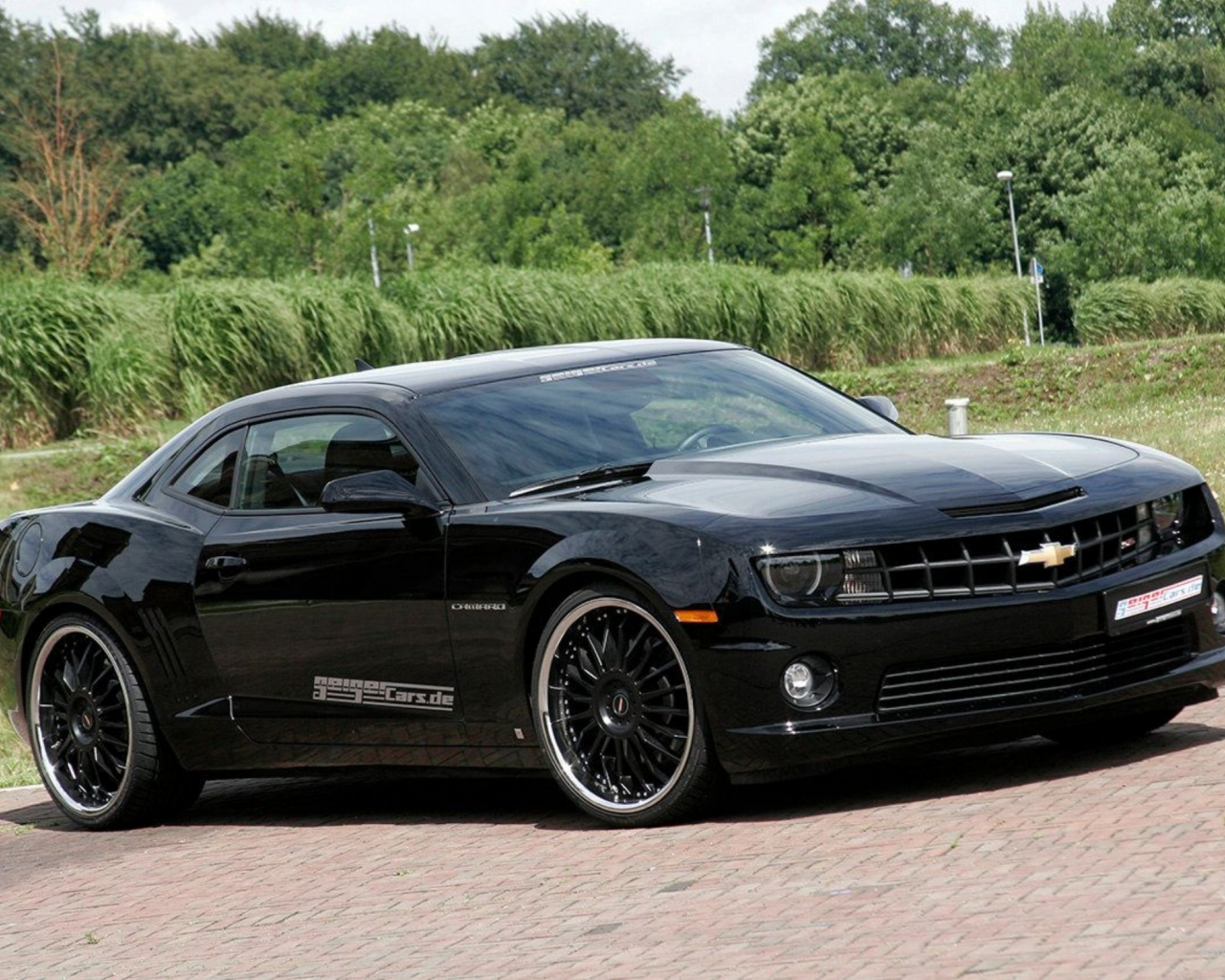 camaro, машины, автомобили, chevrolet, авто, ss