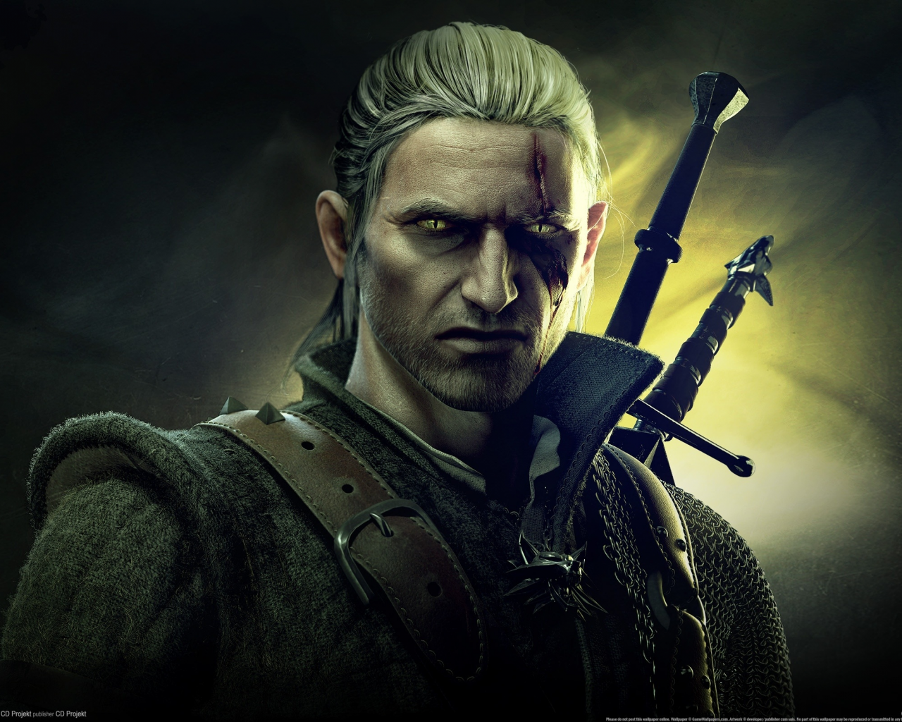 The Witcher 2: Assassins of Kings, игра, pc games, видео игры, компьютерные игры, game