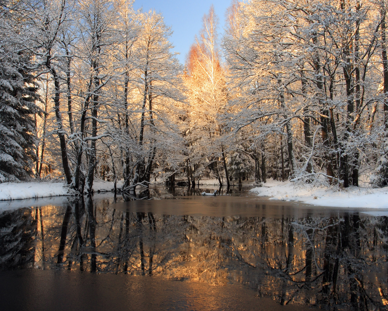льда, река, корка, лес, зима, снег