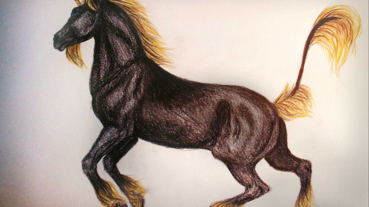 рисунок, единорог, лошадь
