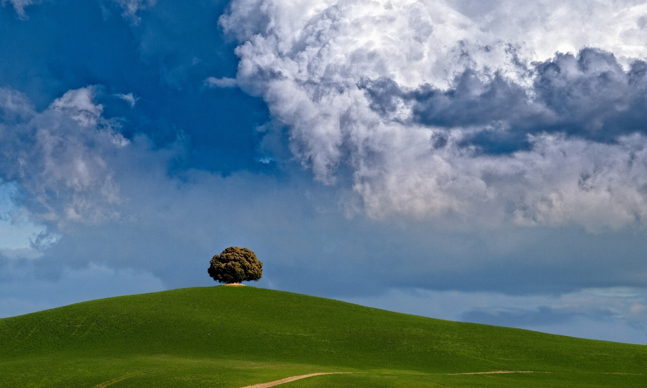 облака, дерево, холм