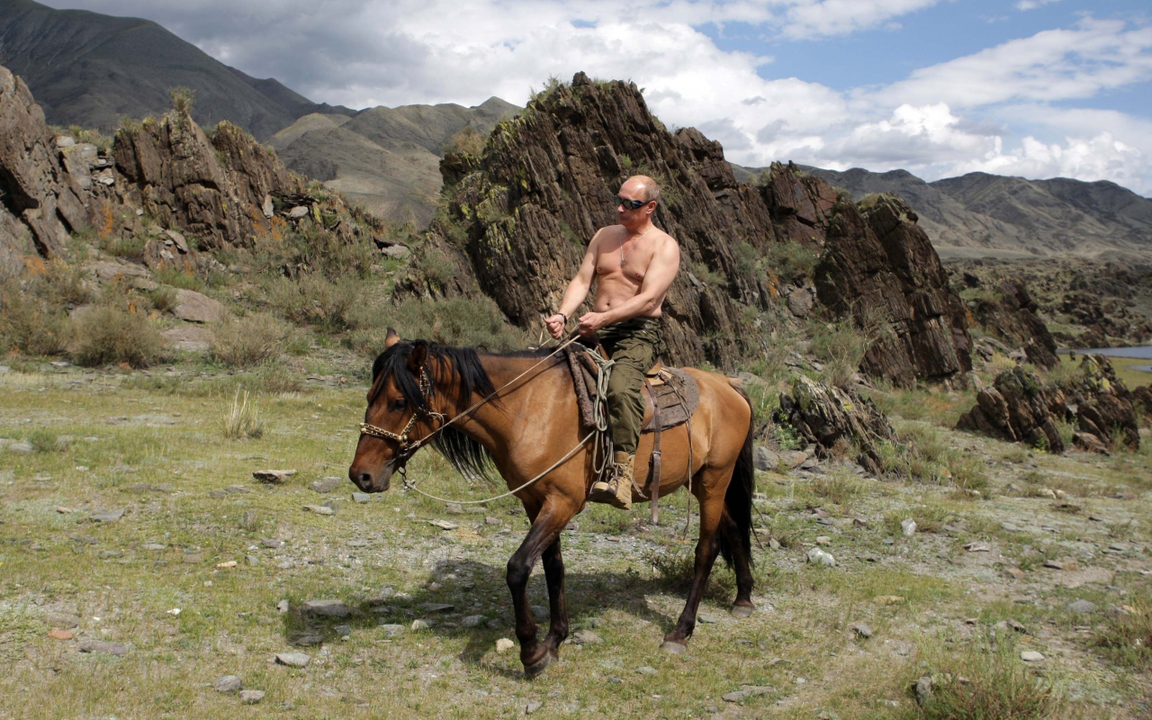 природа, президент россии, обои, владимир путин, лошадь, премьер-министр россии, горы, путин